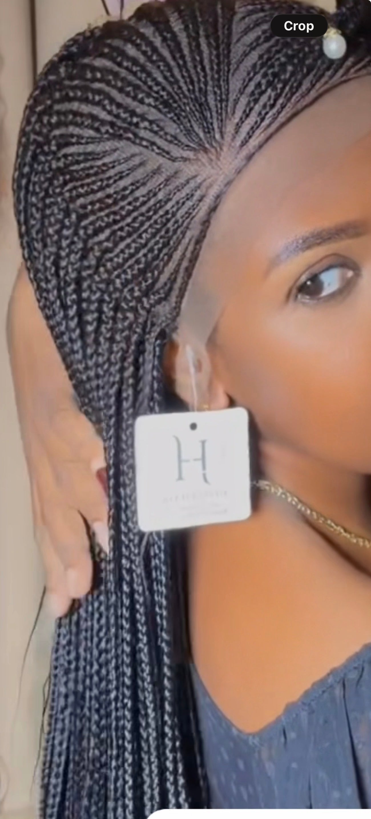 Freestyle Fulani Braids Lace Front Wig